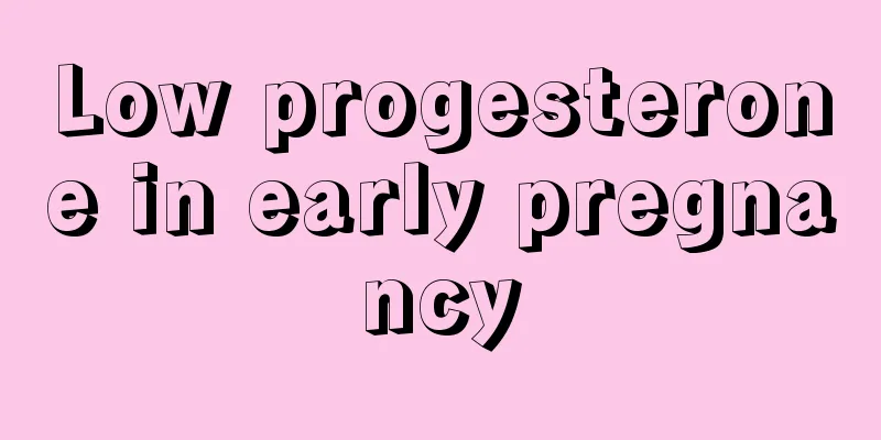 Low progesterone in early pregnancy