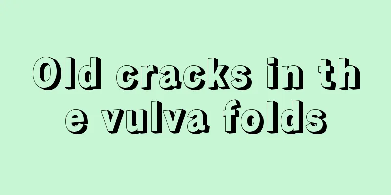 Old cracks in the vulva folds