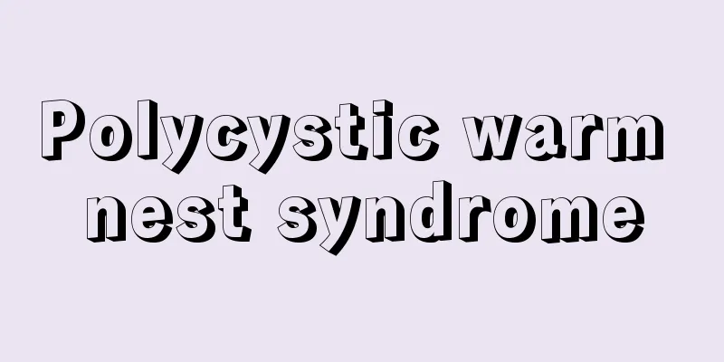 Polycystic warm nest syndrome