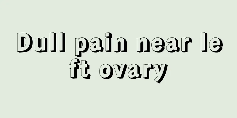 Dull pain near left ovary