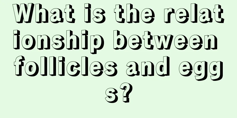 What is the relationship between follicles and eggs?