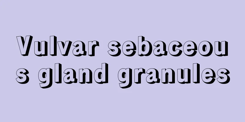 Vulvar sebaceous gland granules