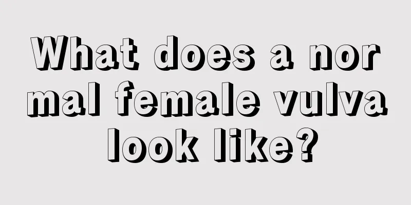 What does a normal female vulva look like?