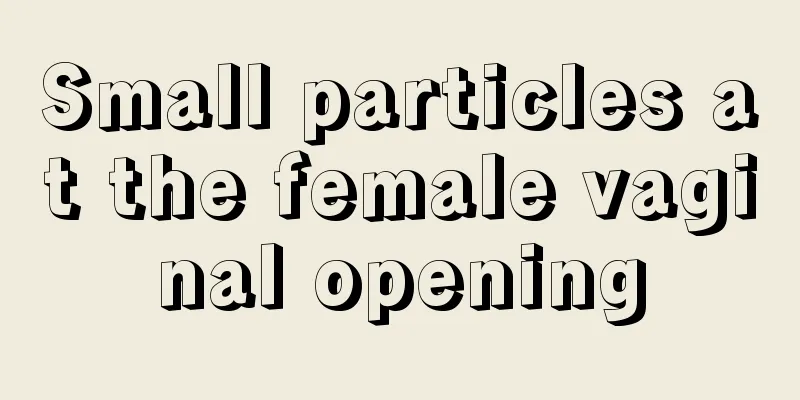 Small particles at the female vaginal opening