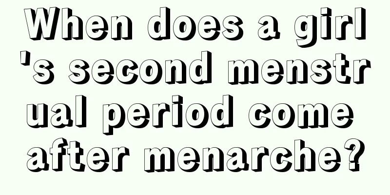 When does a girl's second menstrual period come after menarche?