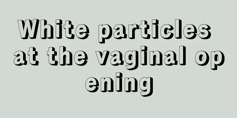 White particles at the vaginal opening