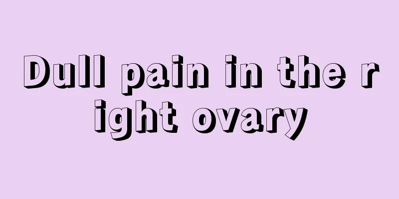 Dull pain in the right ovary