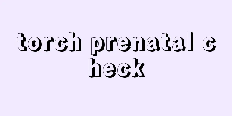 torch prenatal check