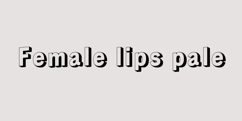 Female lips pale