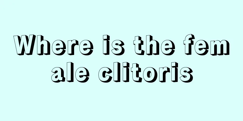 Where is the female clitoris