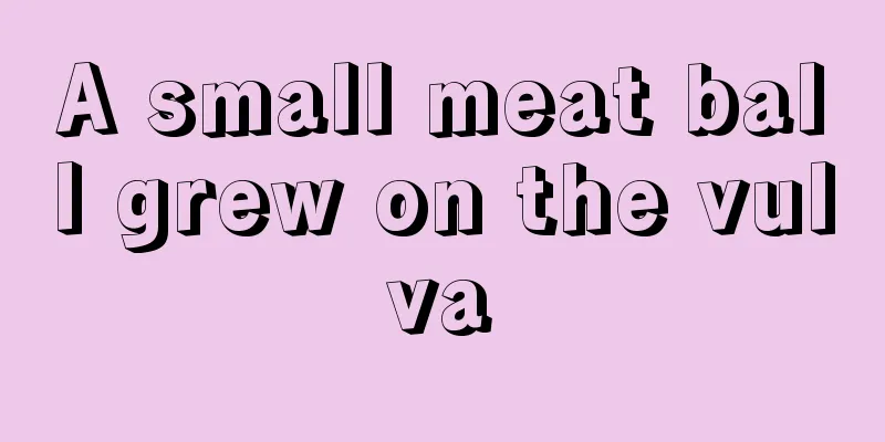 A small meat ball grew on the vulva