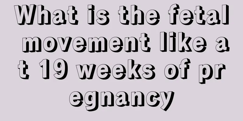 What is the fetal movement like at 19 weeks of pregnancy