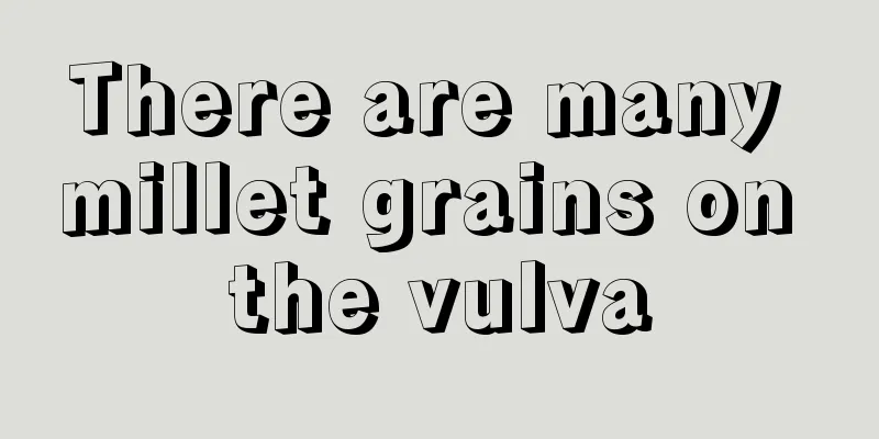 There are many millet grains on the vulva