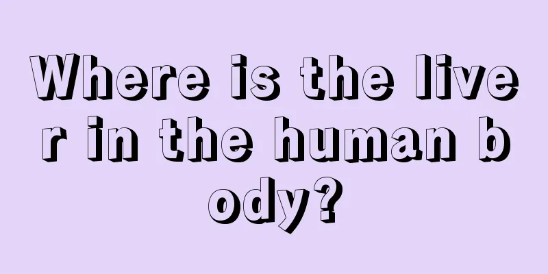 Where is the liver in the human body?