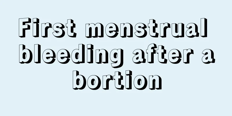 First menstrual bleeding after abortion