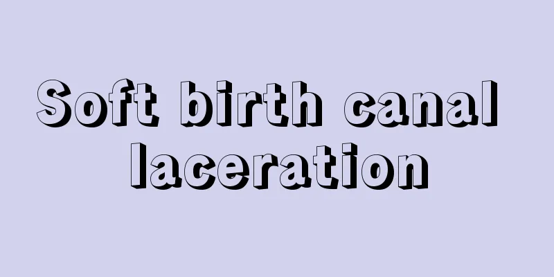 Soft birth canal laceration