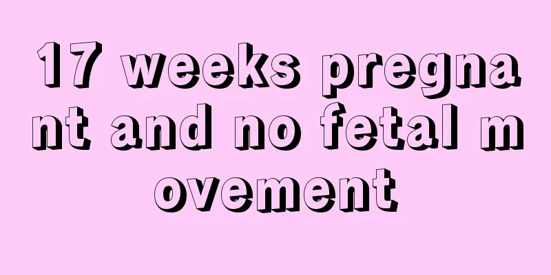 17 weeks pregnant and no fetal movement