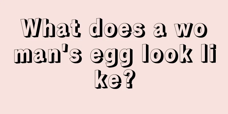 What does a woman's egg look like?