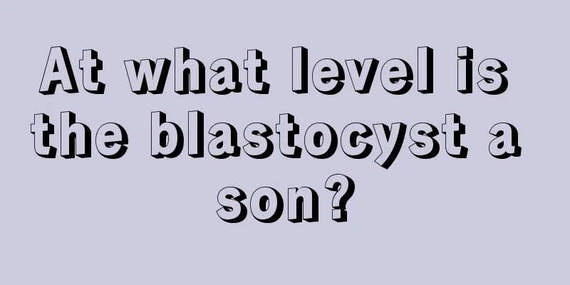 At what level is the blastocyst a son?