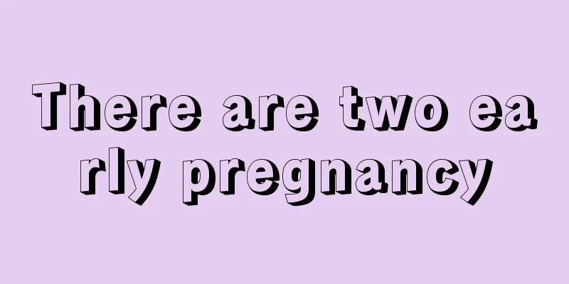 There are two early pregnancy