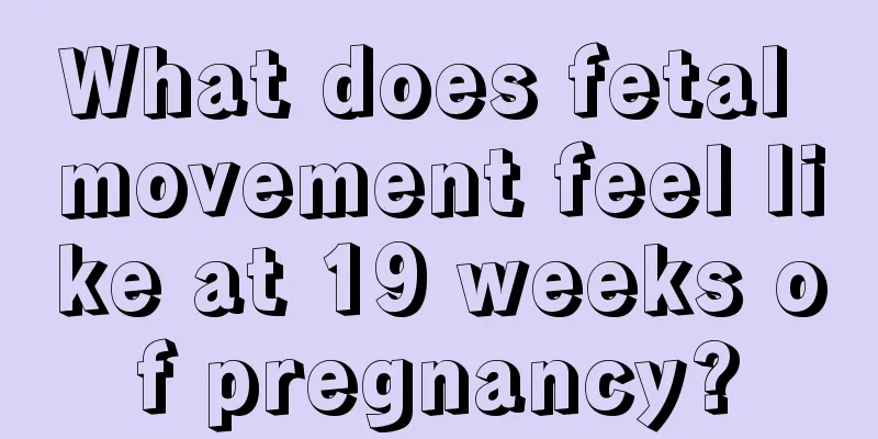 What does fetal movement feel like at 19 weeks of pregnancy?