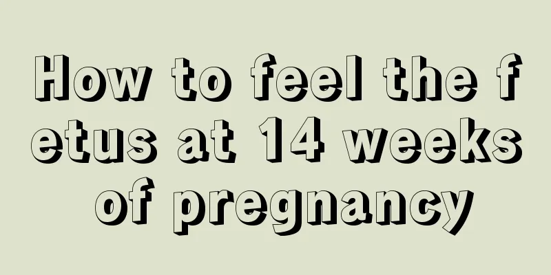 How to feel the fetus at 14 weeks of pregnancy