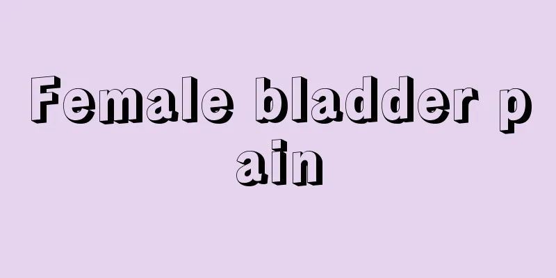 Female bladder pain