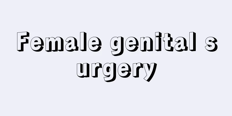 Female genital surgery