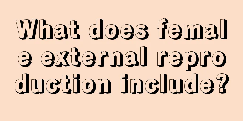 What does female external reproduction include?