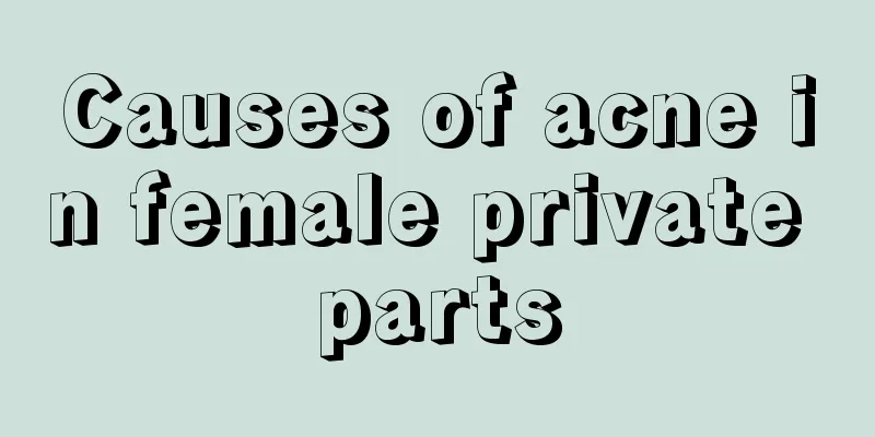 Causes of acne in female private parts