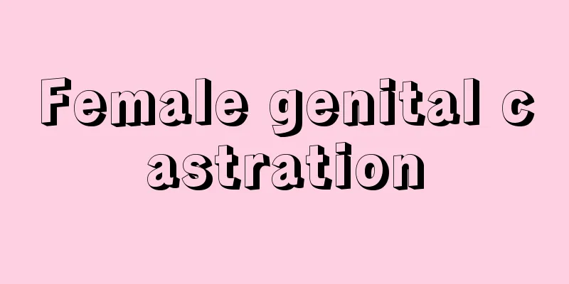 Female genital castration