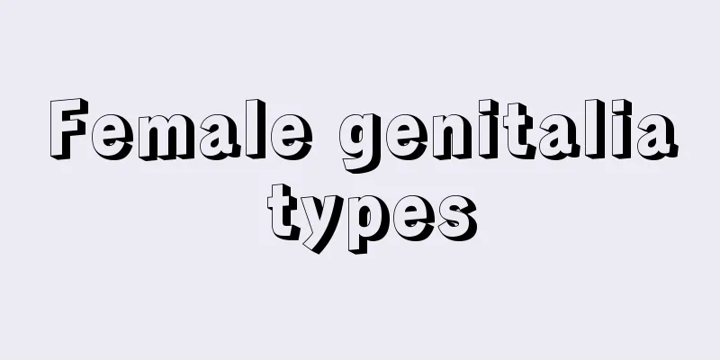 Female genitalia types