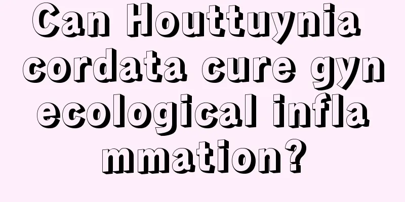 Can Houttuynia cordata cure gynecological inflammation?