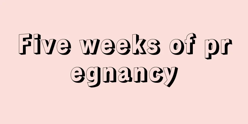 Five weeks of pregnancy