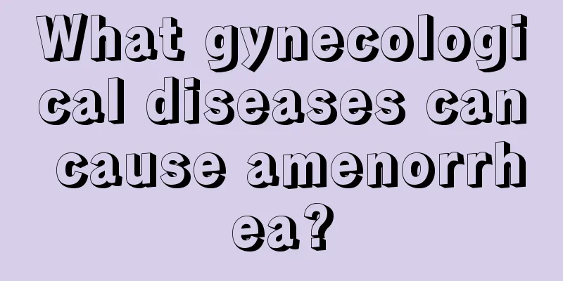 What gynecological diseases can cause amenorrhea?