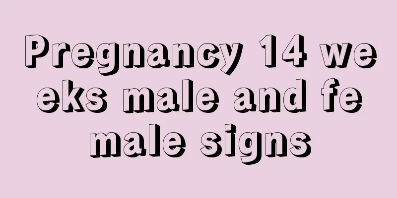 Pregnancy 14 weeks male and female signs