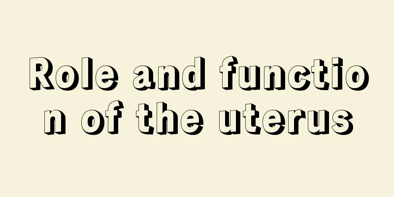 Role and function of the uterus