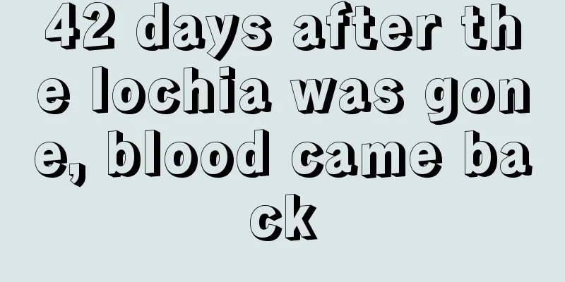 42 days after the lochia was gone, blood came back