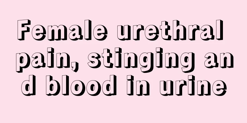 Female urethral pain, stinging and blood in urine