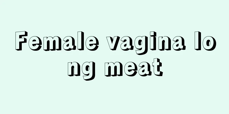 Female vagina long meat