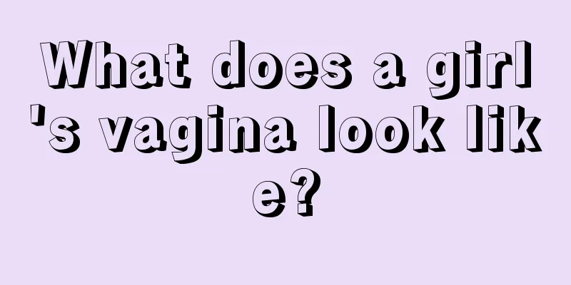 What does a girl's vagina look like?