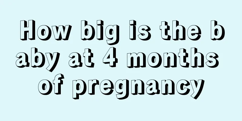 How big is the baby at 4 months of pregnancy