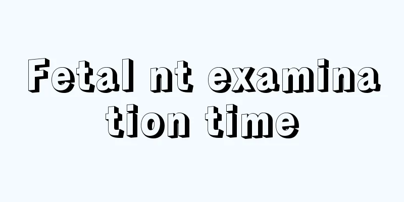 Fetal nt examination time