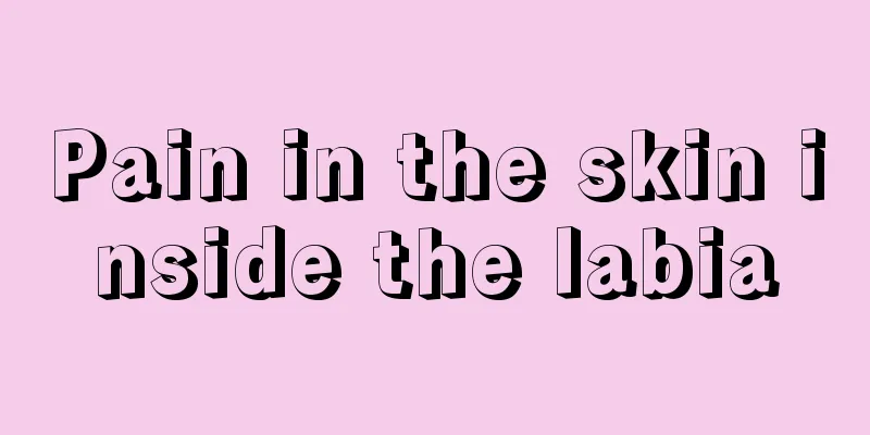 Pain in the skin inside the labia