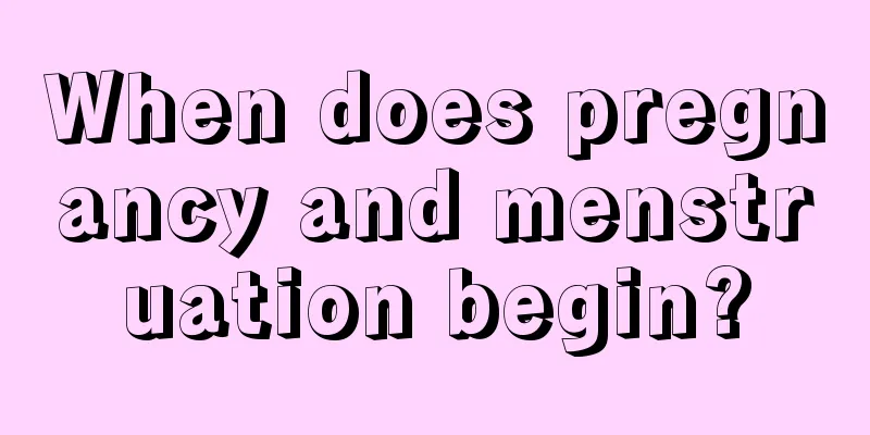 When does pregnancy and menstruation begin?