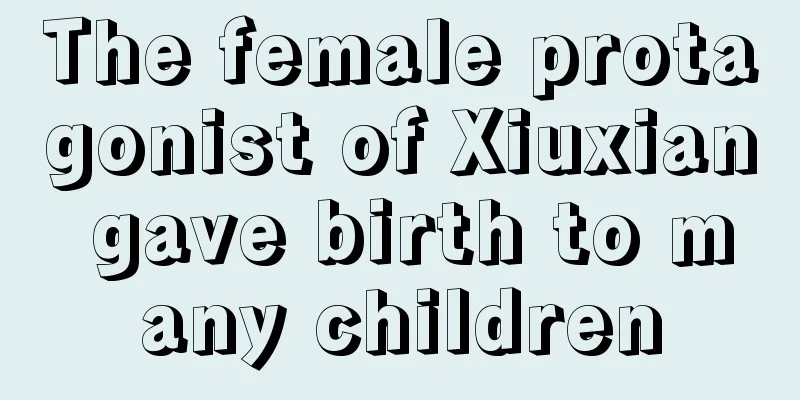 The female protagonist of Xiuxian gave birth to many children