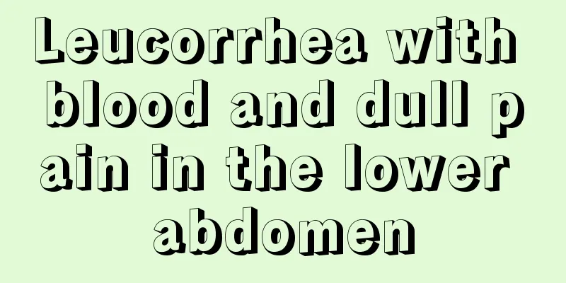 Leucorrhea with blood and dull pain in the lower abdomen