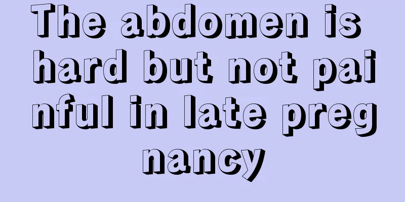 The abdomen is hard but not painful in late pregnancy