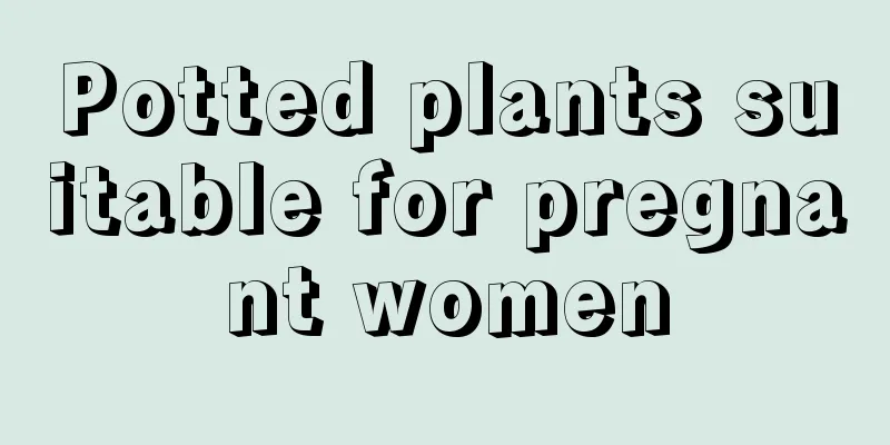 Potted plants suitable for pregnant women