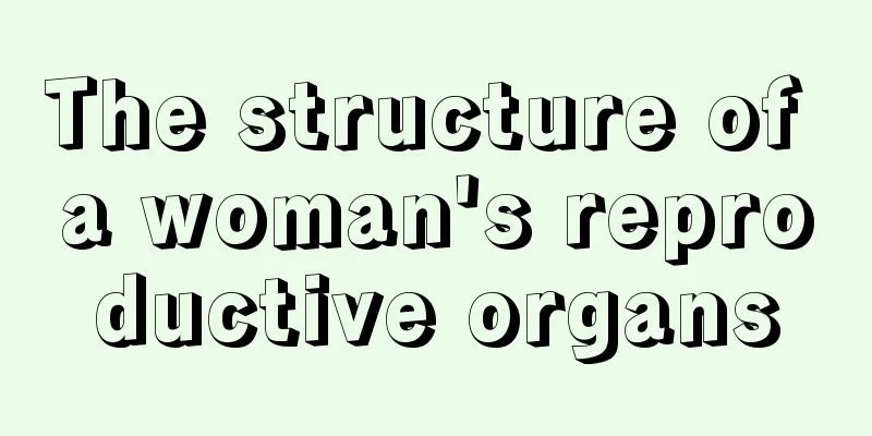 The structure of a woman's reproductive organs